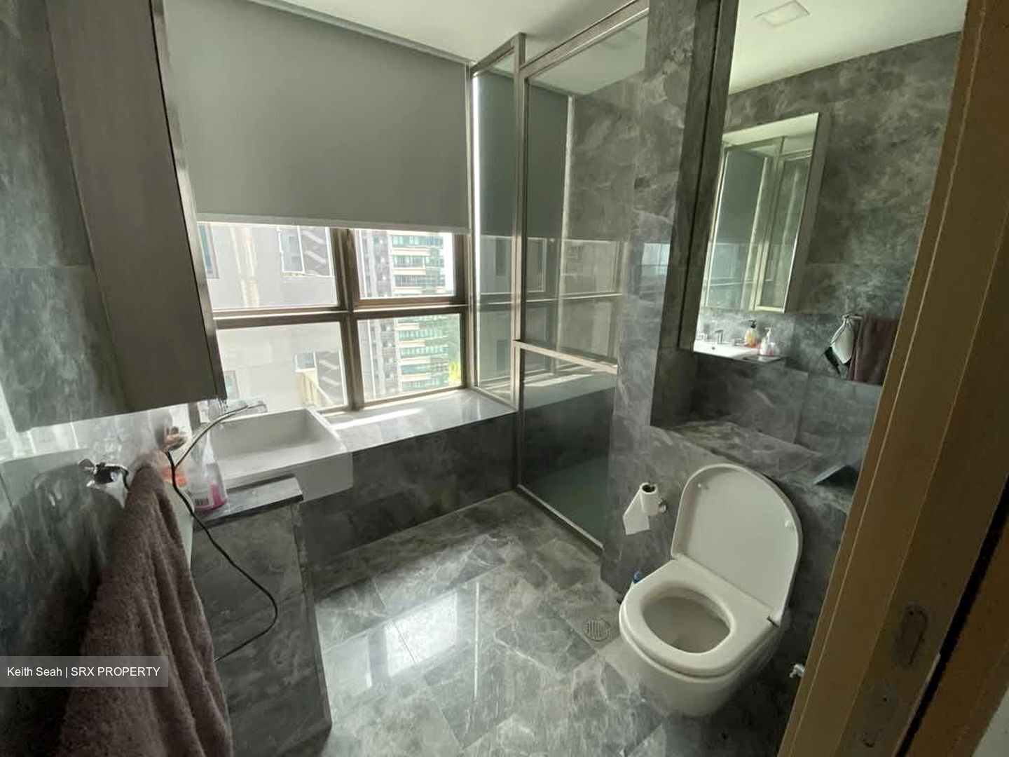 Skyline Residences (D4), Condominium #570141961